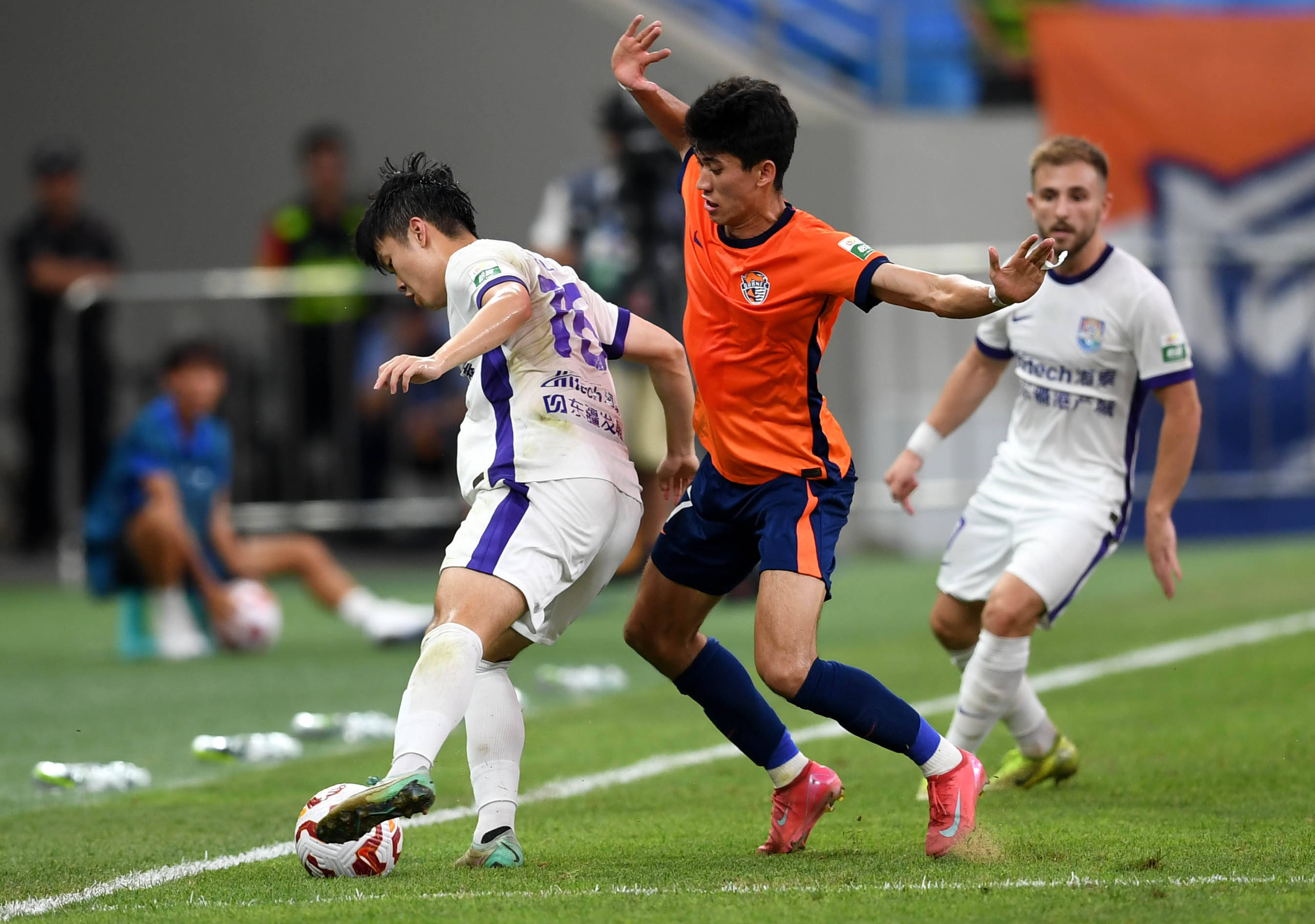 主场草坪维 主场草坪维