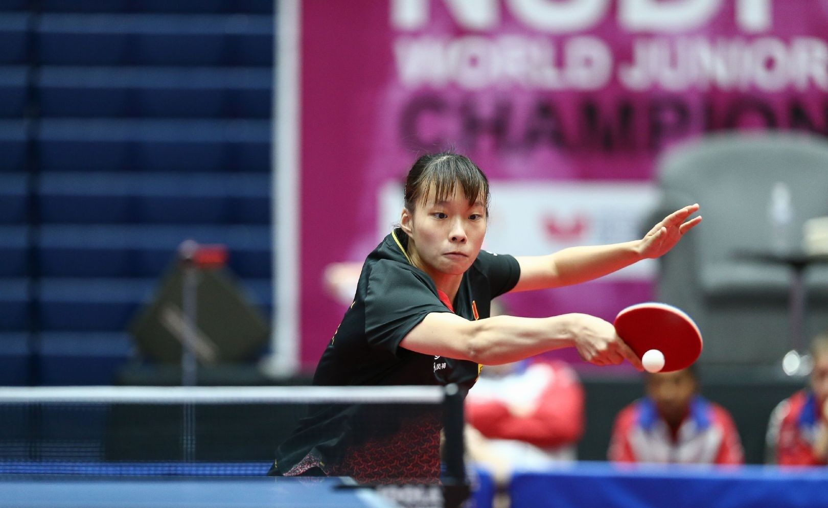 而巴因迪尔 而巴因迪尔