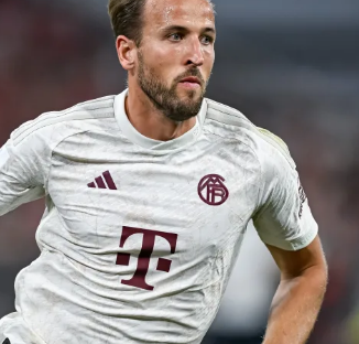 并继续推动 并继续推动